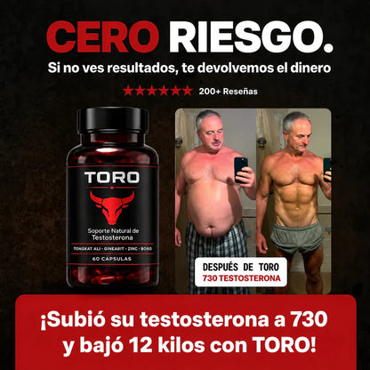 Recuperá la energía, la fuerza y el deseo — TORO®